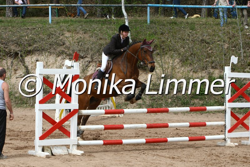 204M0273_Stardust Harry_Spring_Ax.JPG